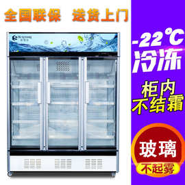 立式冷冻冰柜冷冻食材超市预制菜冷柜速冻榴莲风冷冻展示柜