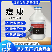 痘康鸽痘信鸽赛鸽观赏鸽肉鸽专用植物提取不伤鸽源头厂家批发代发
