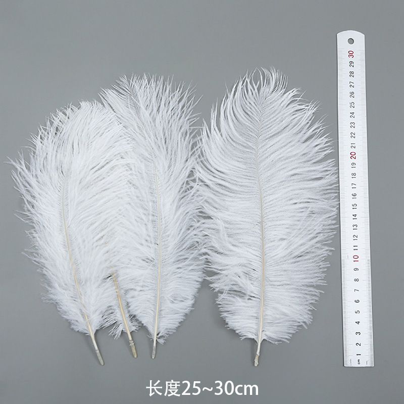 25-30cm 타조 깃털 하드 폴