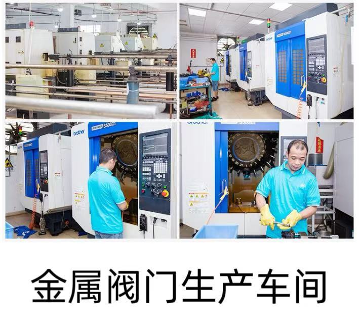 微信图片_20241228113436