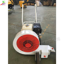 手推式马路吹风机 广场落叶清理机 便携式沥青路面吹扫灰尘设备