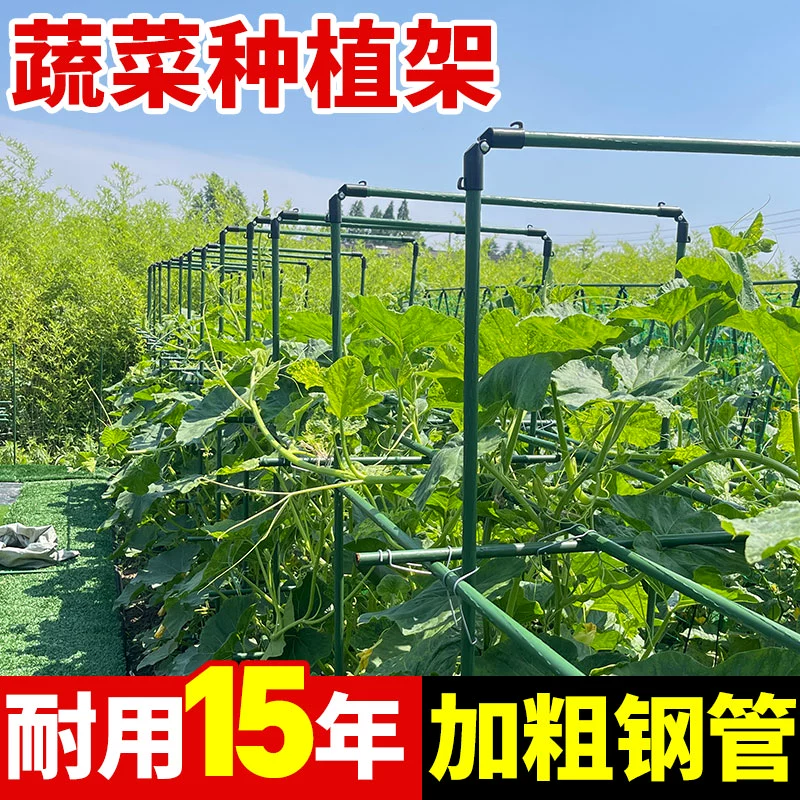Подставка для винограда, огурцов, бобов, овощей, цветов, опора для сада, подставка для томатов