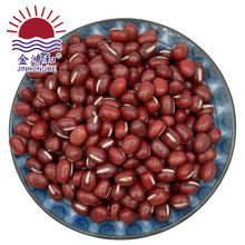 �t���|����t��ɢ�b�tС����؛���{�۶�ɳ�t�����決����ԭ���r��