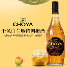 CHOYA÷ӾƵʸźڽ𱾸÷ձM14Ȱm÷ƹ