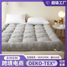 2025新款磨毛立体3D羽丝绒床垫加厚冬季羊羔绒褥子定制软床垫