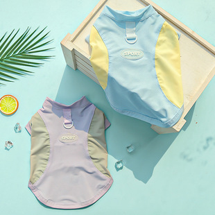 ���ļ������·����·�؈���·����z����С����Ȯ����������·�