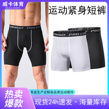 2024亚马逊运动紧身裤男健身跑步短裤速干篮球五分打底裤跨境货源