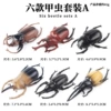6 sets of BX beetle set A (with one -horn)
