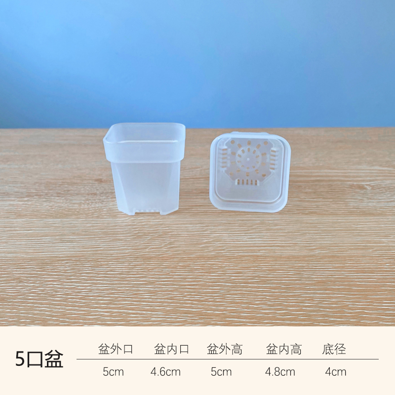 極厚多肉植物低浅角盆、生石花肉コーン播種プラスチック、シンプル挿し木、小さな白い角盆|undefined