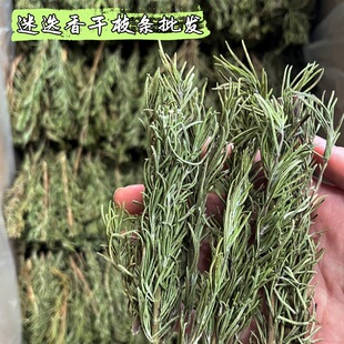 �a���Ե����֦�l���l��t���{ζţ�Ŵ�n��޹�b����زĸɻ��G