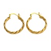 Fashionable golden metal earrings with pigtail, European style, 2021 collection