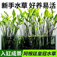 ����͢�ʹ��~���쾰�Ź�ˮ�ݴ��~���~�F�ʹ�ͦˮֲ��ˮ����Ե�ˮ