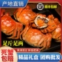 江苏精品直发团购养殖地