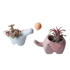 Cactus flower pots, mini various ceramic flower pots, succulent flower pots, new creative internet celebrity wholesale