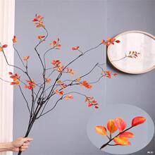 ���滨�ٗl�b����������֦�~�ӿ�ľ��֦�ɾGֲ���~��ˇ�[�O�쾰