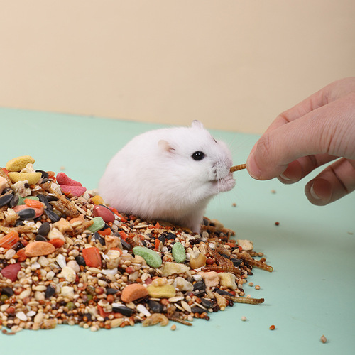 Hamster food, staple food, seafood grain, feed, nutritional snacks, golden bear supplies, dried mealworms, complete set