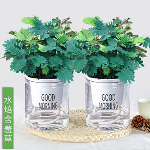 ���߲�С�����҃��ֲ̨���ļ������׷N�������߲ݺ���Ȥζ