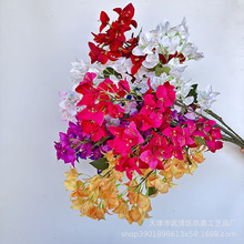 ��������÷��֧ë�����֦���ܻ�c���T�����bƵ�ܛ�b��ز廨