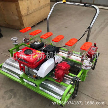 С�w���߲˾����CһѨһ���۹����N�C �p������۲˷Nֲ�C