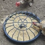 加厚源头养鸡大容量食槽