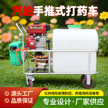 定制批发手推打药机消毒机汽油机喷雾器养殖农用电动高压喷雾器