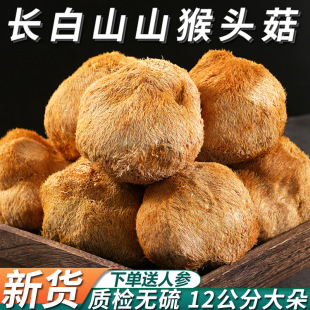 �L��ɽ���^����؛ɽ�ﹽ�^Ұ��500g��؛��ۖ|�������Ҝ�ʳ��Ģ��