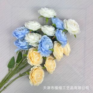 3�^��¶ĵ�� ��c��Y���û��ĶY���b[�����潁��ˇ�������廨