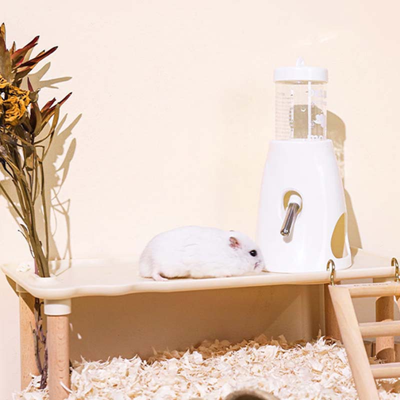 Jarro de hámster, jarro de agua de oso de oro, jarro de agua para bebidas, taza de agua para perros, bola vertical a prueba de fugas, jarro de agua para hámster
