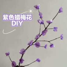 Ϟ�T��÷��2.2x10cm�U��ɫ�L�U�ֹ�����Ϟ��Ϟ�UϞ���L�l����