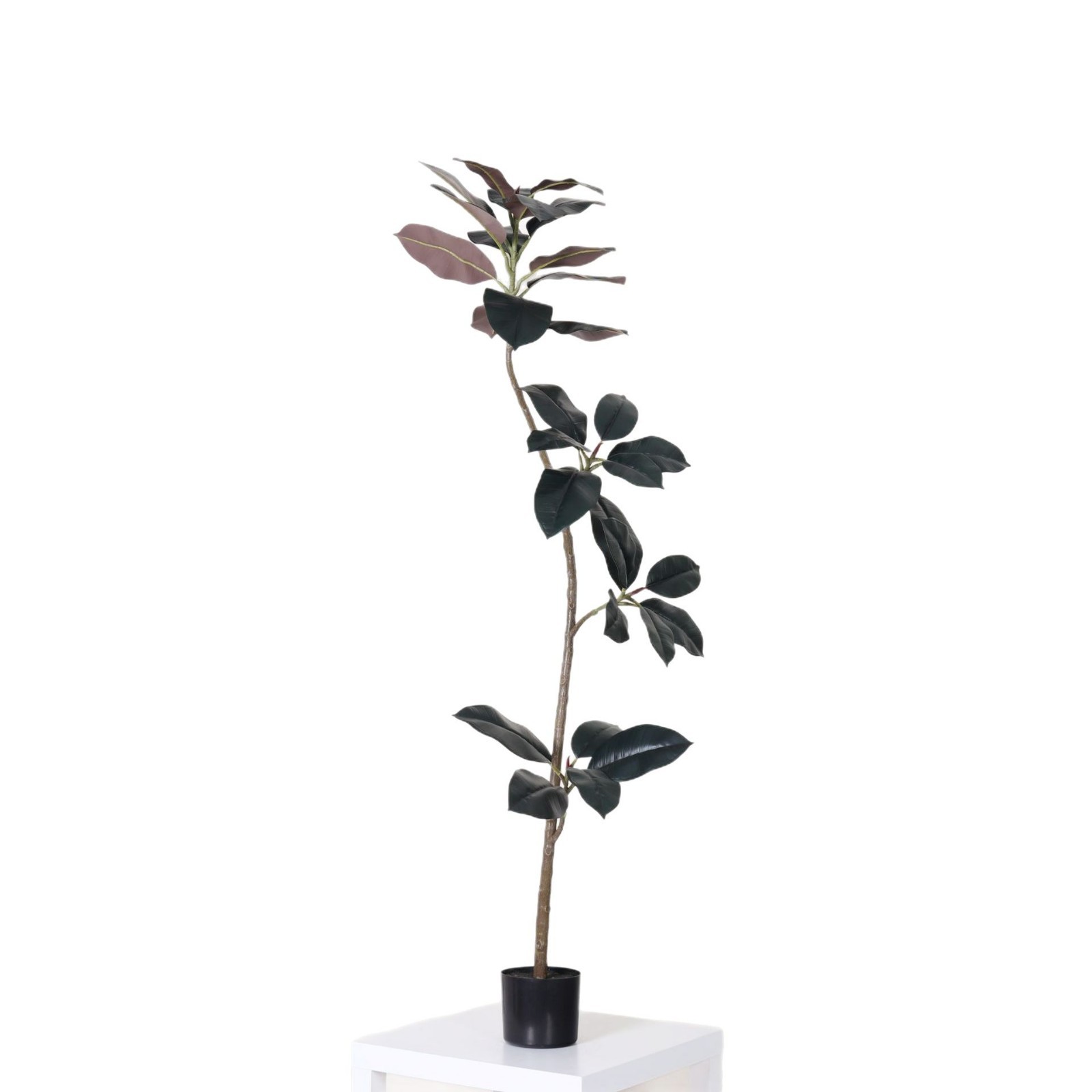 Simulación avanzada, plantas verdes, elegantes, árboles de caucho de diamante negro, árboles falsos, plantas en macetas, decoración de suelo interior, plantas biónicas