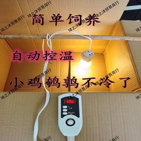 Chicken Incubator Automatic Temperature Control Quail Temperature Bird Pet Brooding Heating Equipment