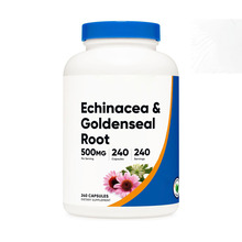 跨境热销 紫锥菊胶囊 Echinacea capsules 源头厂家直销 定 制