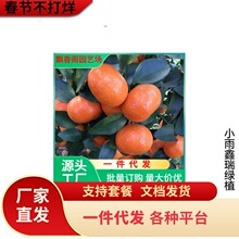 һ�����lɳ�ǽۘ��玧�����Ե����ϱ����NֲͥԺ�ļ��ش��������