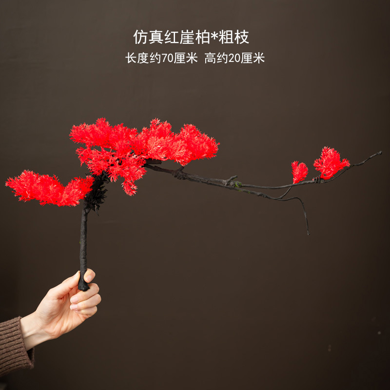 붉은 thuja 소나무 가지