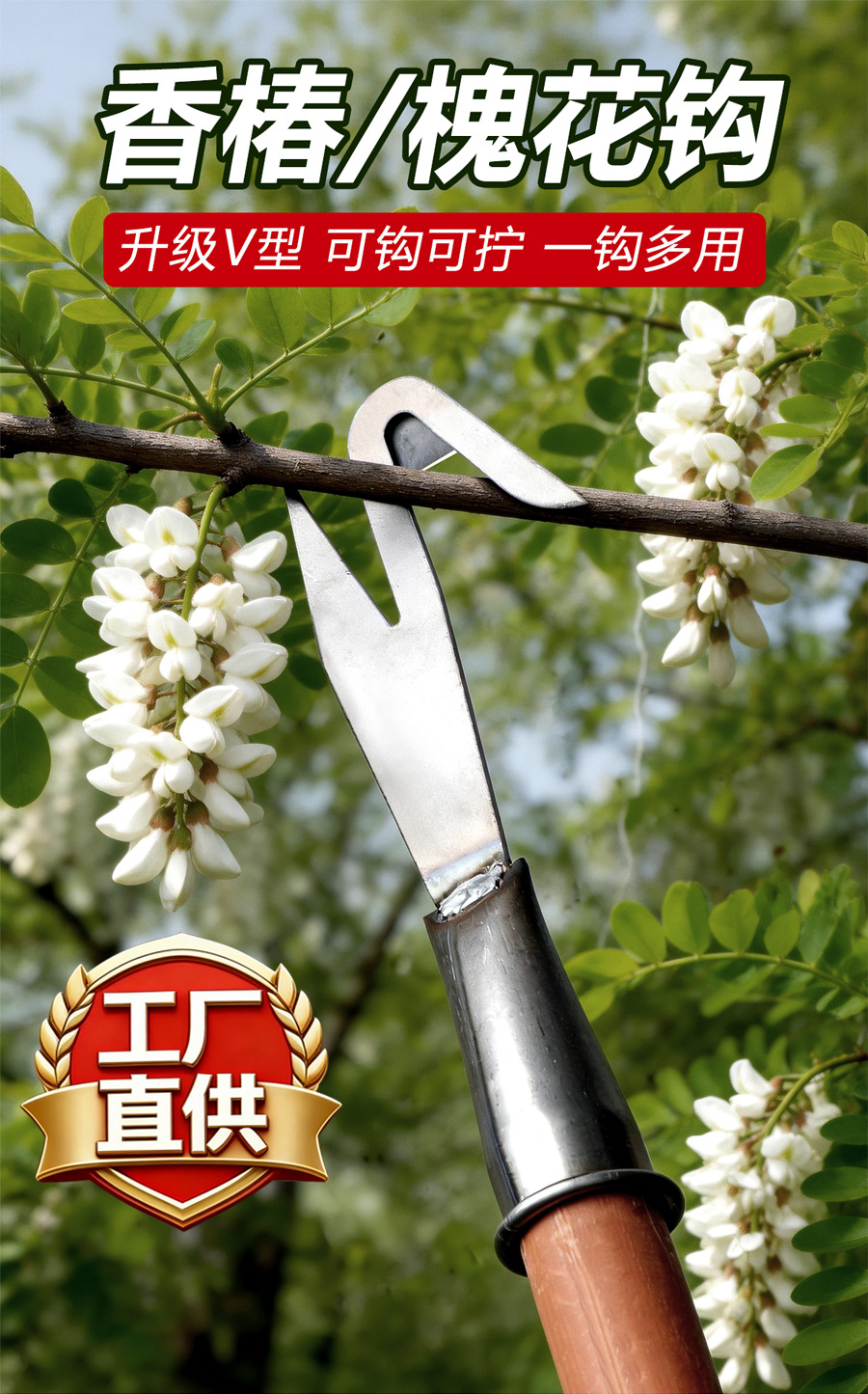 未标题-1_01.jpg