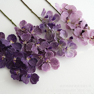 �S��ֱ�N���滨�f���m������ޥ�m���l��c���Q��ˇ�廨�Ҿ��b�