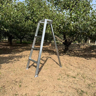 Dl Thickened and Reinforced Galvanized Garden-Specific Orchard Ladder, Three-Legged Household Pruning Triangular Folding Ladder