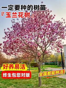 ���m�����玧�����t���S�����m����ͥԺ���Դ��;G���ļ��������l