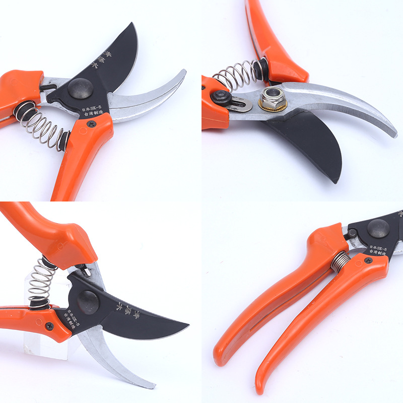Tijeras de podar de vid verde de Taiwán Greening tijeras domésticas de ahorro de mano de obra tijeras de podar de modelado de plantas verdes tijeras de injerto tijeras de podar de frutas