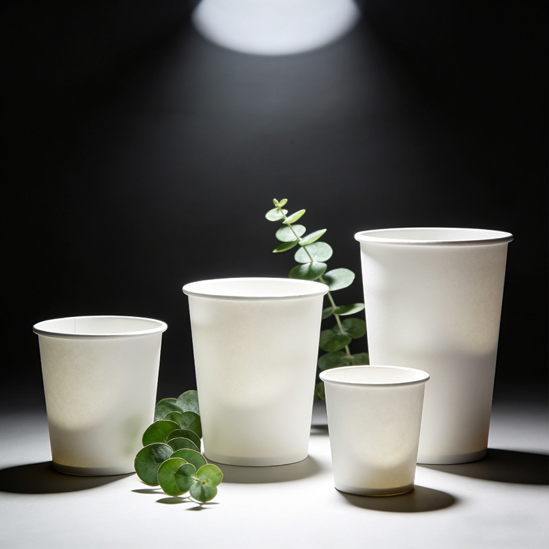 单层白杯1