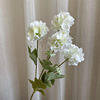 [White Flower Material] Hydrangea rose fog, grasshopper flower arrangement with grass ceiling fog leaves decorative wedding simulation flower