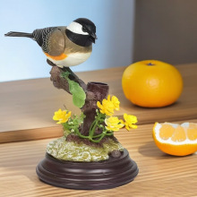 ���u������B������С�Búɽȸҹ�еؔ�������l�@ˇ�bҾ�