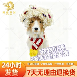 假发马尾;其他假发;宠物头饰