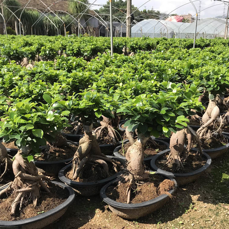 1438b186-be84-49b4-889d-9f75919e056f.jpe