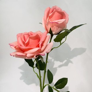 ���ߔzӰ�ָл�c�廨���l�[���Ҿ��b��^�Ǹ��|�ٻ����^õ�屣��