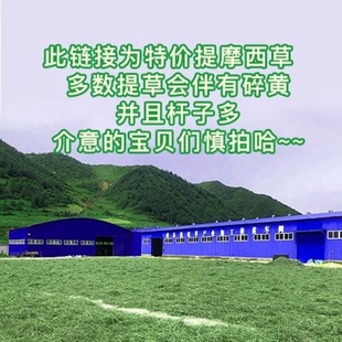 ��ޣ���������Ħ���ɲ����������i����ĥ����ʳ�òݲݼZ��ʳֱ�N