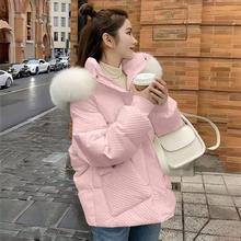 qŮ2024̿n׼ӺëIСӴٴ