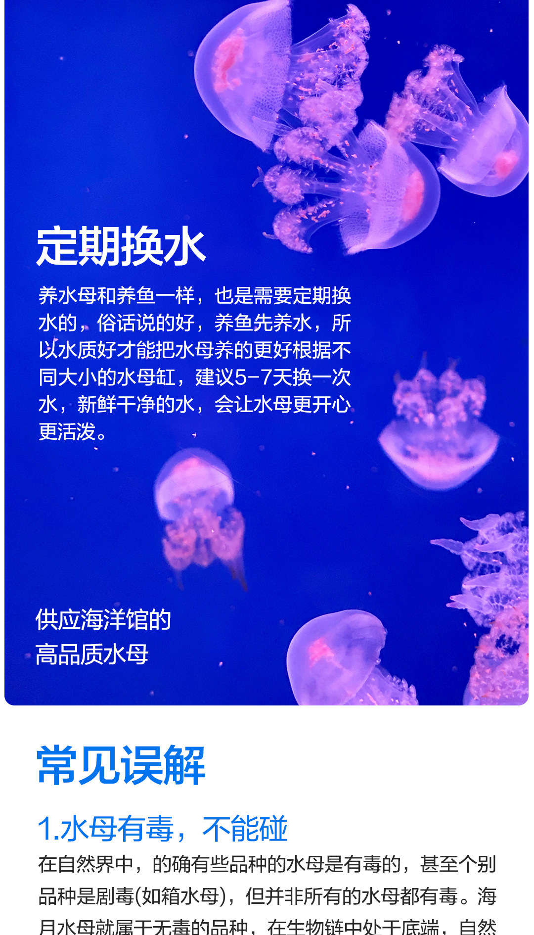 摆摊水母缸桌面缸10L展示缸水族生态鱼缸赤月海月活体地摊养殖缸