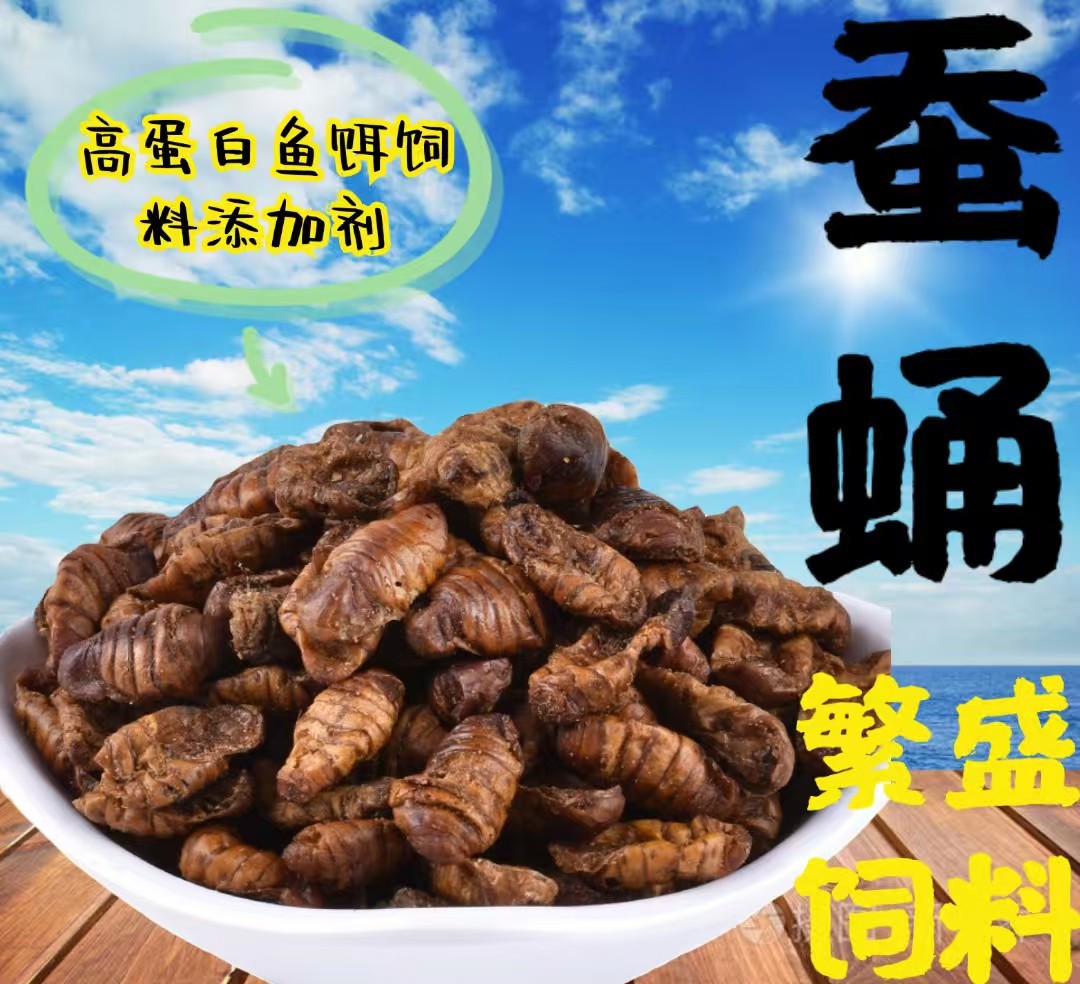 蚕蛹干烘干批发无盐蝉蛹干干蚕蛹鱼饵饲料野钓黑坑高蛋白添加剂