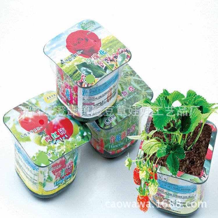 ֲ ֲܿũ ħ Сͻ辰